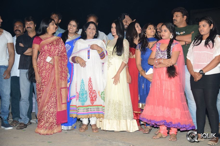 Legend-Movie-Success-Meet